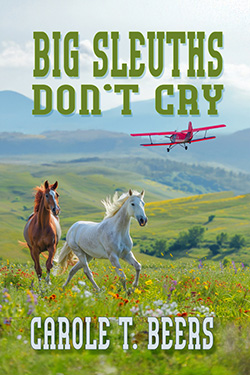 Big Sleuths Don't Cry